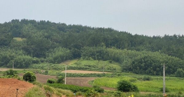 전라남도 무안군 청계면 송현리 OOO 전 경매 물건 이미지