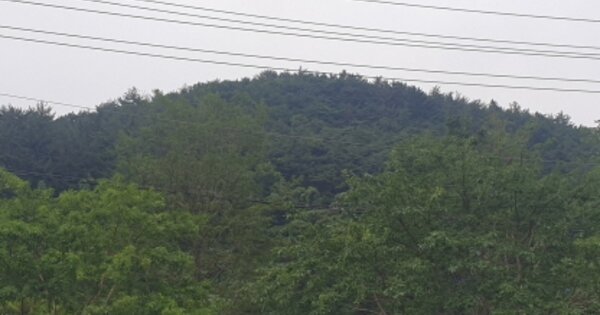 전라남도 광양시 광양읍 용강리 OOOOO 임야 경매 물건 이미지
