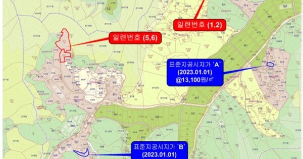 전라남도 함평군 손불면 죽장리 OOO O OOO 단독주택 경매 물건 이미지
