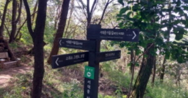 서울특별시 은평구 응암동 OOOOOO 임야 경매 물건 이미지