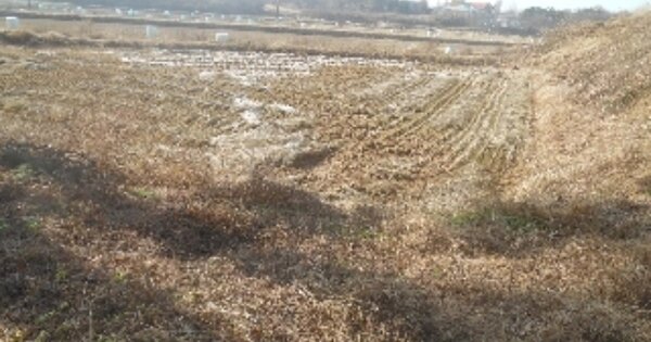충청남도 서산시 고북면 정자리 OOO 답 경매 물건 이미지