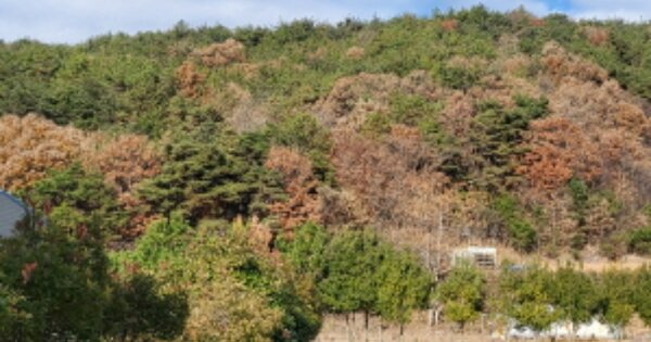전라남도 광양시 중군동 OOOOO 임야 경매 물건 이미지