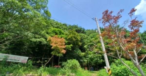 광주광역시 북구 금곡동 OO 전 경매 물건 이미지