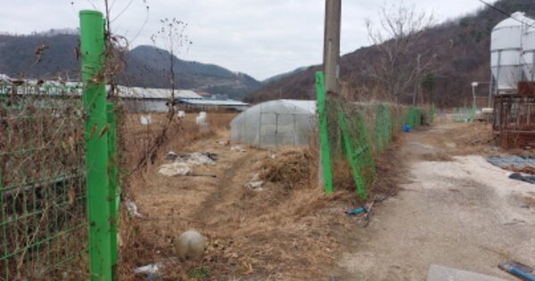 경기도 파주시 법원읍 웅담리 OOO 답 경매 물건 이미지