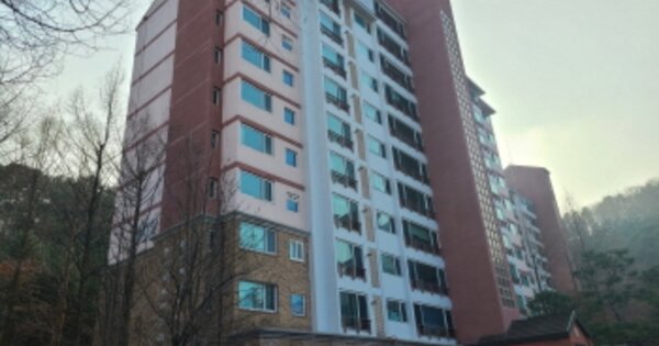 경기 용인시 기흥구 보정동 911-3, 102동 OOOOO OOOOOOOOOOO 아파트 경매 물건 이미지