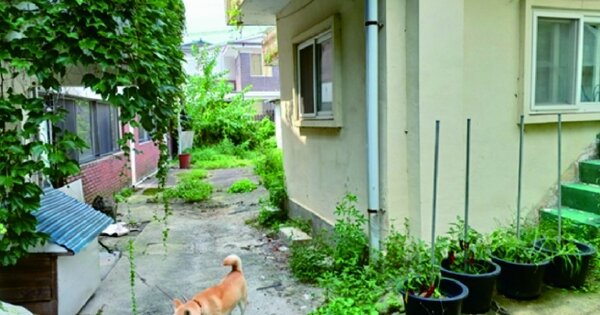 충청남도 금산군 추부면 마전리 OOOOOO 단독주택 경매 물건 이미지