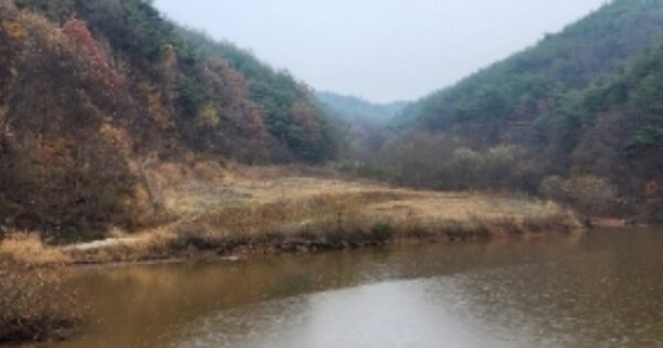 경상북도 안동시 임동면 망천리 OOO 임야 경매 물건 이미지