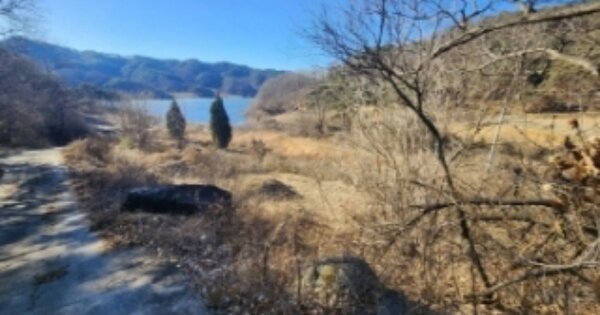 경상북도 안동시 예안면 기사리 OOOO O OOO 전 경매 물건 이미지
