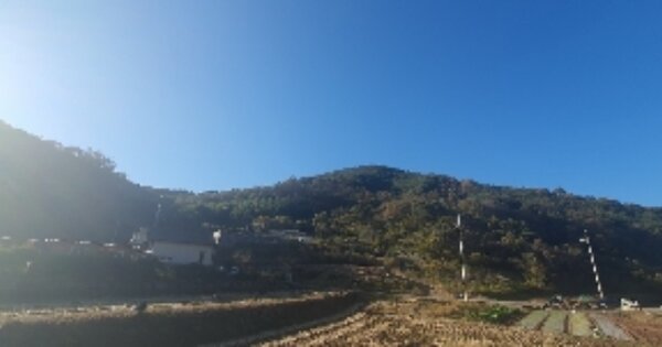 경상남도 의령군 유곡면 신촌리 OOO 임야 경매 물건 이미지