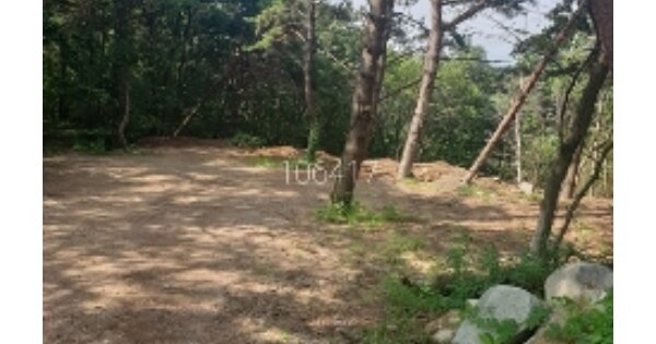 부산광역시 기장군 장안읍 반룡리 OOO 임야 경매 물건 이미지