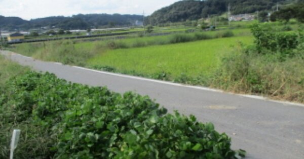 충청남도 금산군 남일면 마장리 OOOOO 답 경매 물건 이미지