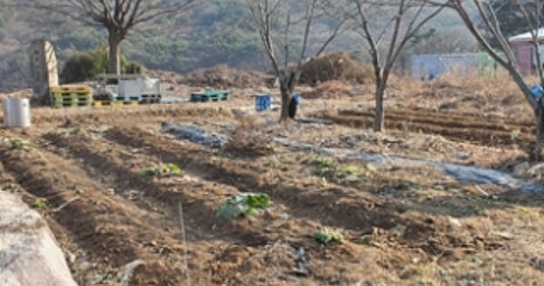 경상남도 김해시 상동면 묵방리 OOO 임야 경매 물건 이미지