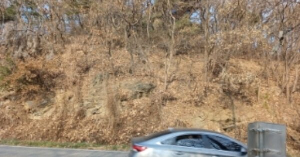 인천광역시 강화군 화도면 여차리 OOO 임야 경매 물건 이미지