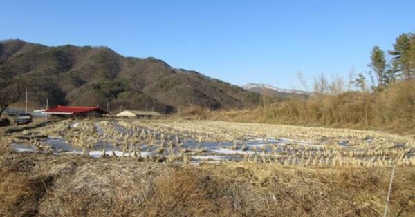 경상북도 상주시 모서면 정산리 OO 답 경매 물건 이미지