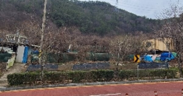 전라남도 광양시 광영동 OOOOOO 임야 경매 물건 이미지