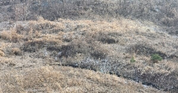 충청북도 제천시 수산면 계란리 OOOOO O OOO 임야 경매 물건 이미지