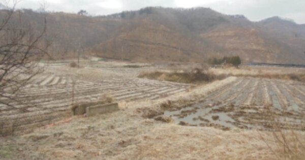 충청남도 부여군 외산면 전장리 OOO O OOO 전 경매 물건 이미지