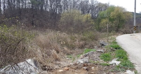 경상북도 청송군 청송읍 청운리 OOO 답 경매 물건 이미지