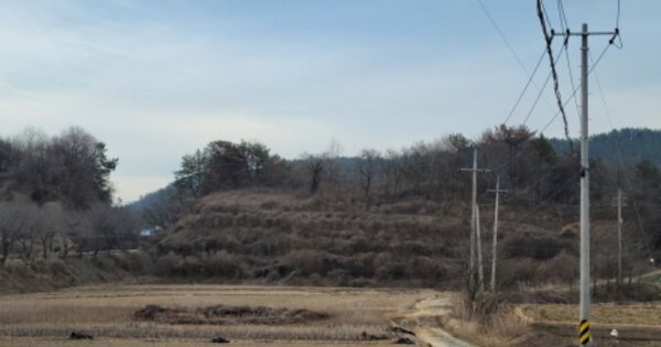 전라남도 여수시 소라면 복산리 OOOOOO 전 경매 물건 이미지