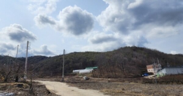 경상북도 안동시 풍천면 어담리 OOOO 임야 경매 물건 이미지