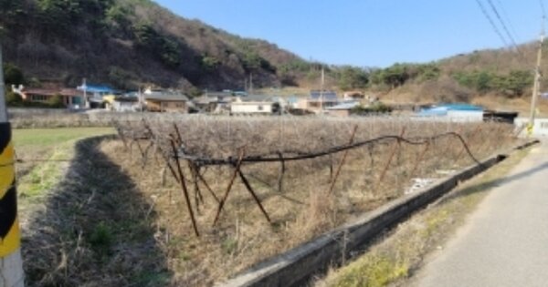 경상북도 영주시 단산면 단곡리 OOOOO 답 경매 물건 이미지
