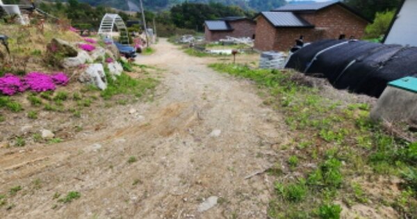 충청북도 제천시 백운면 평동리 OOO O OOO 단독주택 경매 물건 이미지