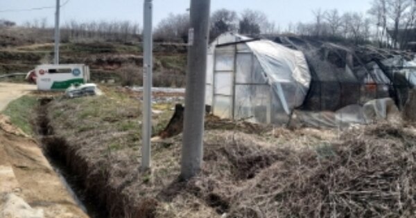 충청남도 당진시 송악읍 도원리 OOOOO O OOO 답 경매 물건 이미지