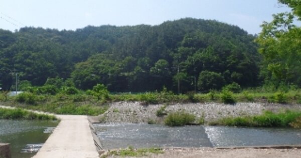 충청남도 논산시 벌곡면 사정리 OOO 임야 경매 물건 이미지