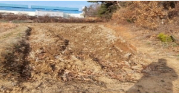 경기도 평택시 포승읍 만호리 OOO 전 경매 물건 이미지