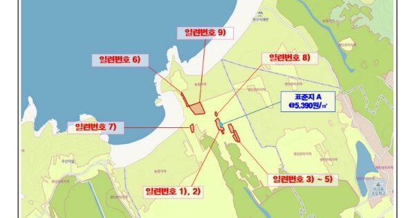 전라남도 신안군 비금면 도고리 OOOOO 임야 경매 물건 이미지