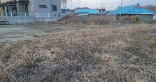 경상북도 포항시 남구 장기면 창지리 OOOOO 전 경매 물건 이미지