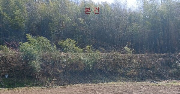 전라남도 영암군 금정면 청용리 OOOO 임야 경매 물건 이미지
