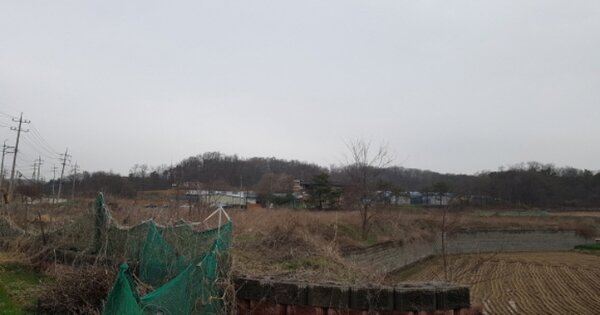 경기도 안성시 삼죽면 덕산리 OO O OOO 답 경매 물건 이미지
