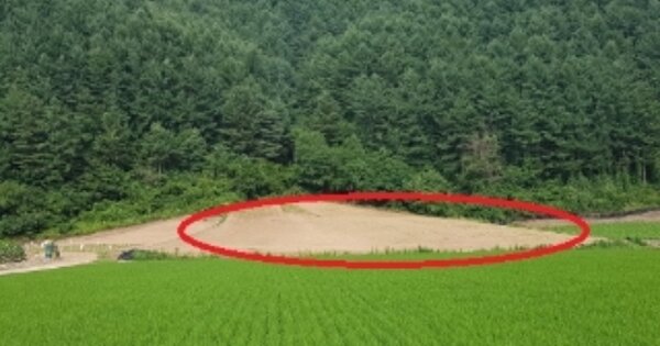 강원특별자치도 홍천군 화촌면 야시대리 OO 전 경매 물건 이미지