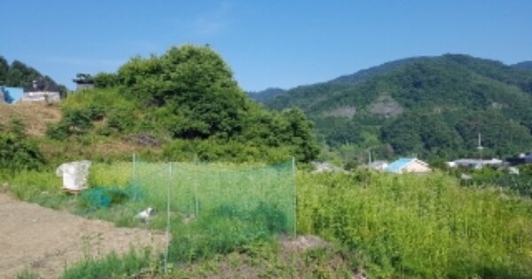 강원특별자치도 춘천시 동산면 원창리 OOO O OOO 전 경매 물건 이미지