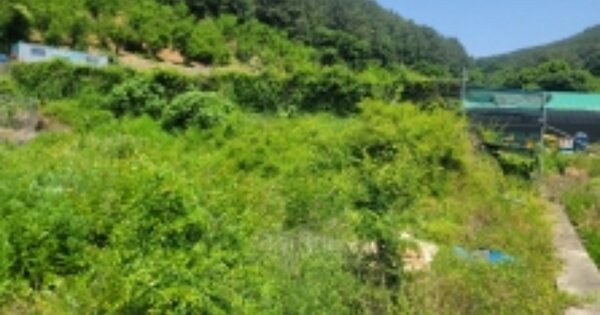 경상남도 통영시 용남면 장문리 OOOOO 답 경매 물건 이미지
