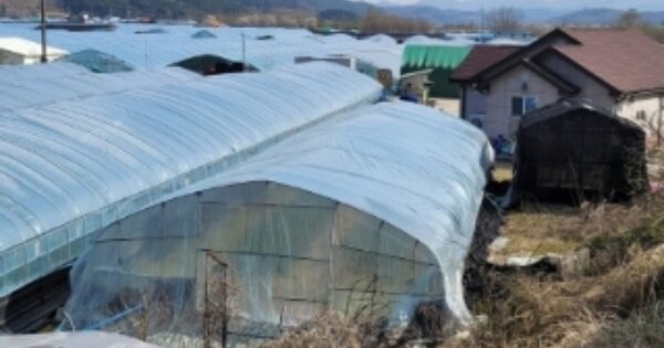 경상남도 산청군 단성면 호리 OOO O OOO 단독주택 경매 물건 이미지