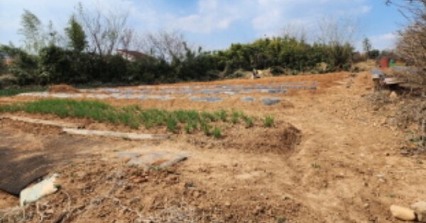 울산광역시 중구 동동 OOOOO 전 경매 물건 이미지