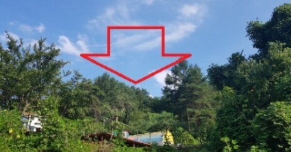 강원특별자치도 홍천군 서면 팔봉리 OOOOO 임야 경매 물건 이미지