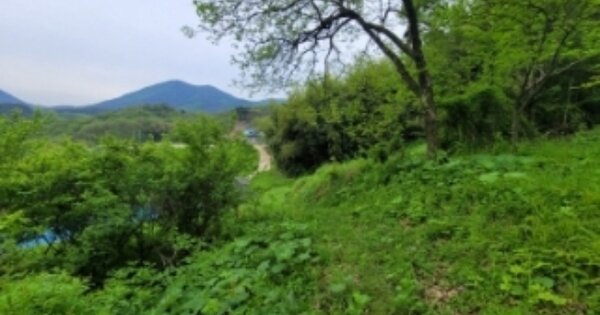 경상남도 하동군 북천면 사평리 OOOOOO 임야 경매 물건 이미지