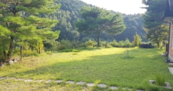 강원특별자치도 홍천군 두촌면 철정리 OOOOO O OOO 단독주택 경매 물건 이미지