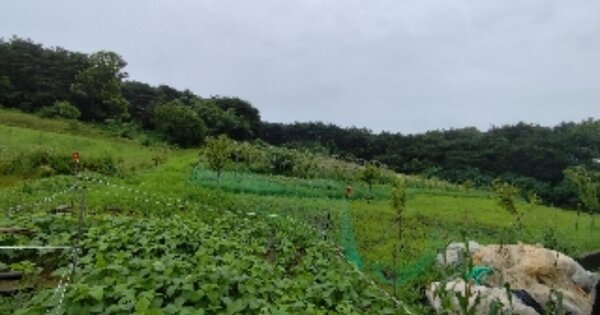 충청남도 홍성군 광천읍 대평리 OOOOO 전 경매 물건 이미지