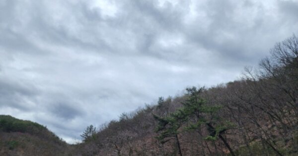 울산광역시 울주군 언양읍 반연리 OOOO 임야 경매 물건 이미지