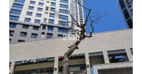 부산 해운대구 중동 1839, 101동 OOOOOO OOOOOOOOOOO O OOO 아파트 경매 물건 이미지
