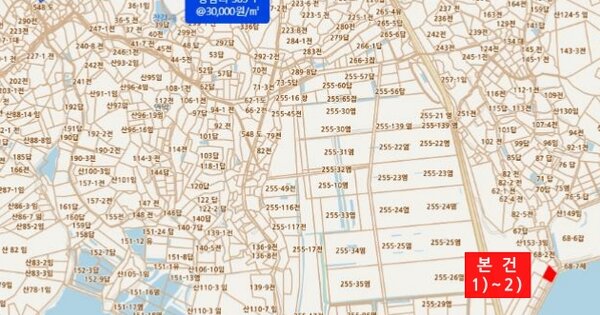 전라남도 신안군 압해읍 신장리 OOOOOOO O OOO 잡종지 경매 물건 이미지