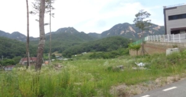 충청북도 괴산군 청천면 사담리 OOOOO O OOO 목장용지 경매 물건 이미지