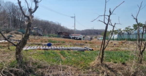 인천광역시 남동구 도림동 OOO 전 경매 물건 이미지