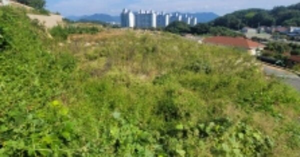 경상남도 통영시 용남면 동달리 OOOOOO 대지 경매 물건 이미지