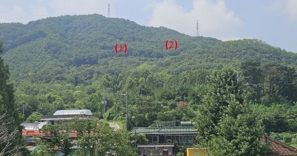 충청남도 아산시 음봉면 동암리 OOOOO 임야 경매 물건 이미지