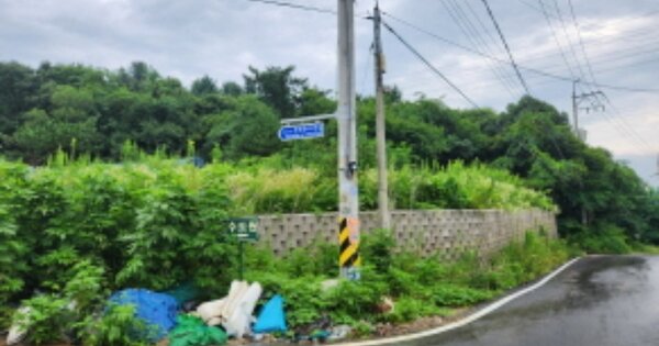 경기도 양주시 광적면 우고리 OOOOO 답 경매 물건 이미지